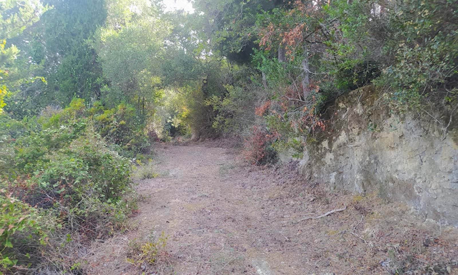 Listing photograph 5 of 7 of the land in Arilas, published by Corfu Home Finders.