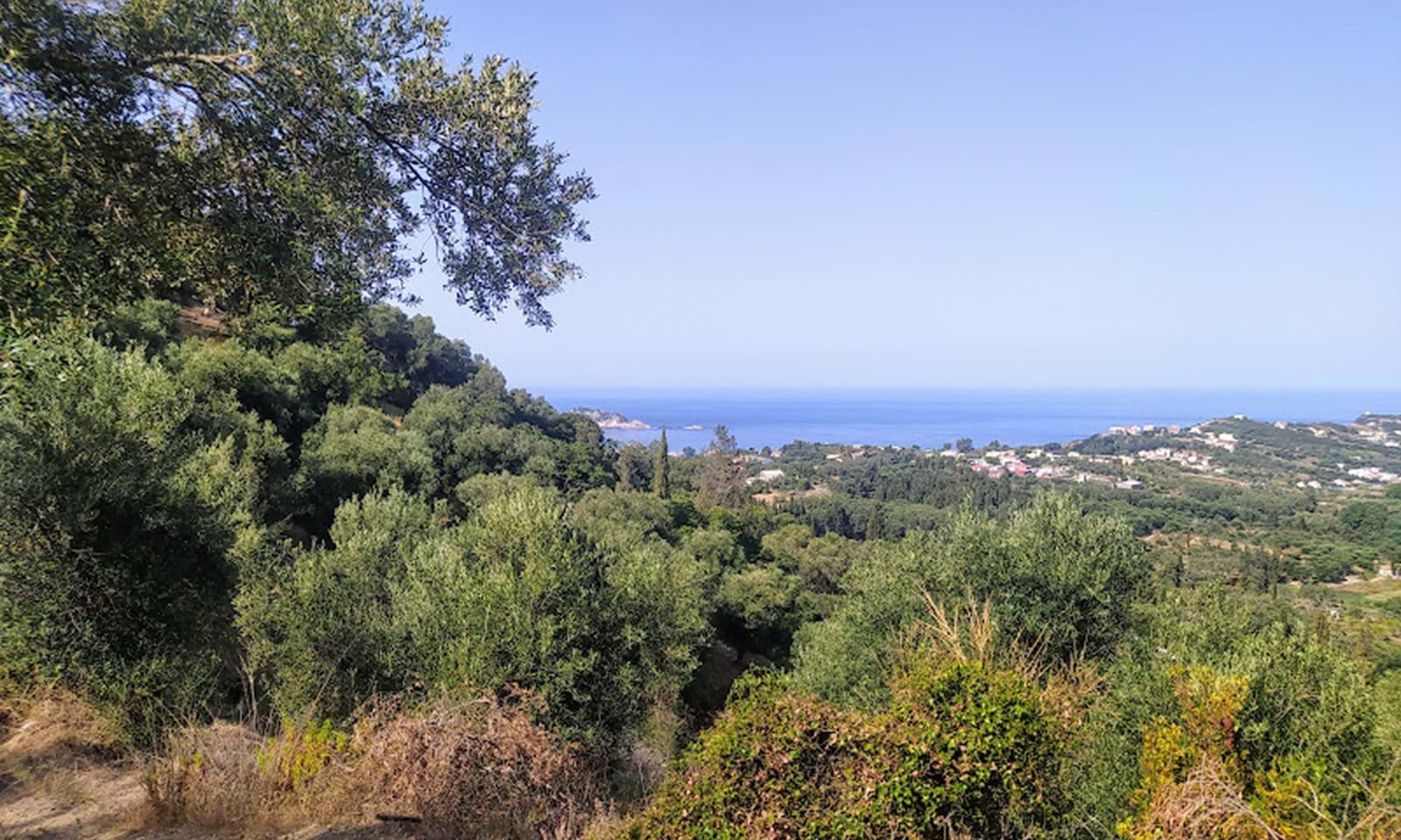 Listing photograph 7 of 7 of the land in Arilas, published by Corfu Home Finders.