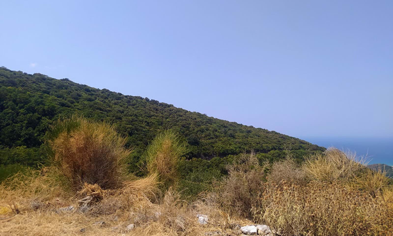 Listing photograph 9 of 10 of the land in Agios Martinos, published by Corfu Home Finders.