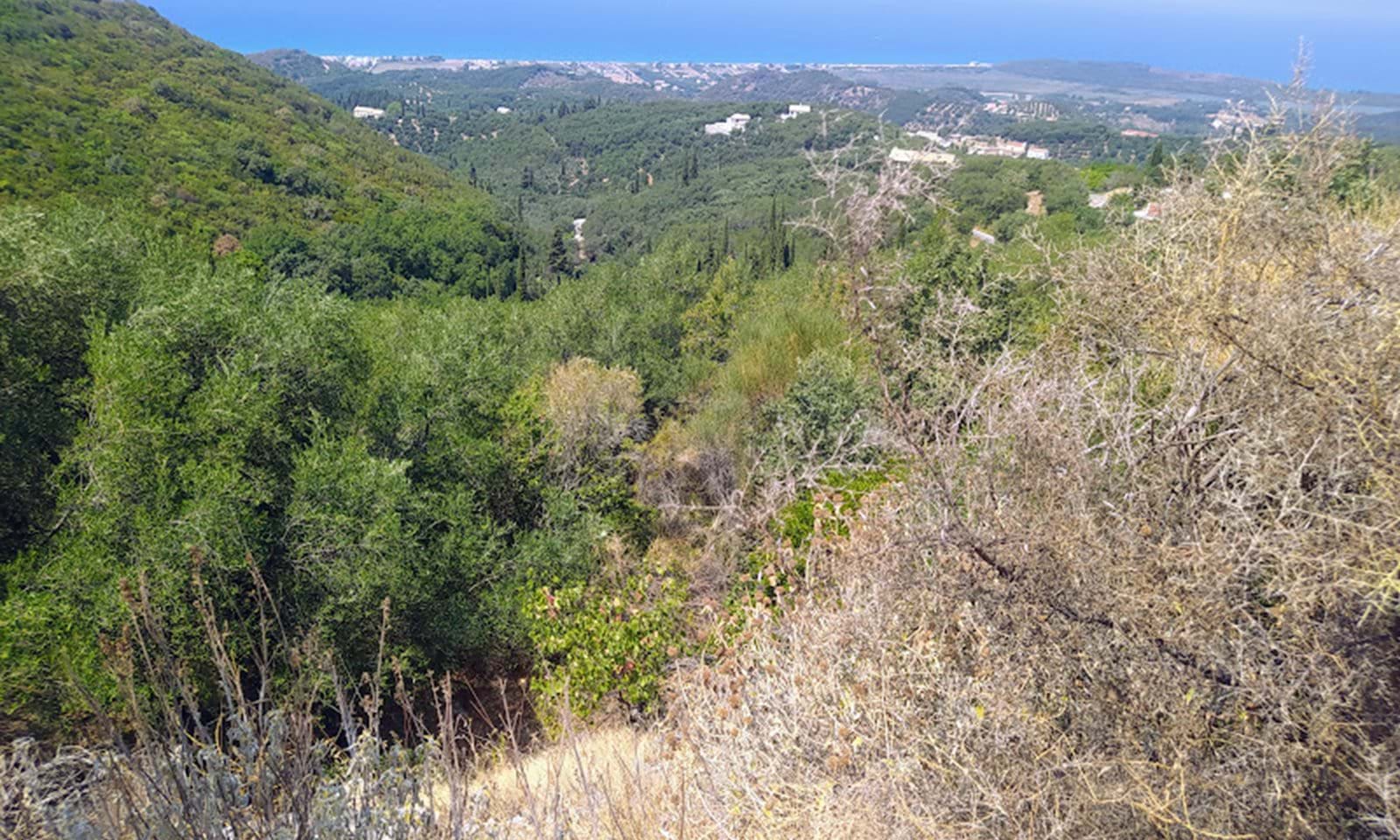Listing photograph 7 of 10 of the land in Agios Martinos, published by Corfu Home Finders.