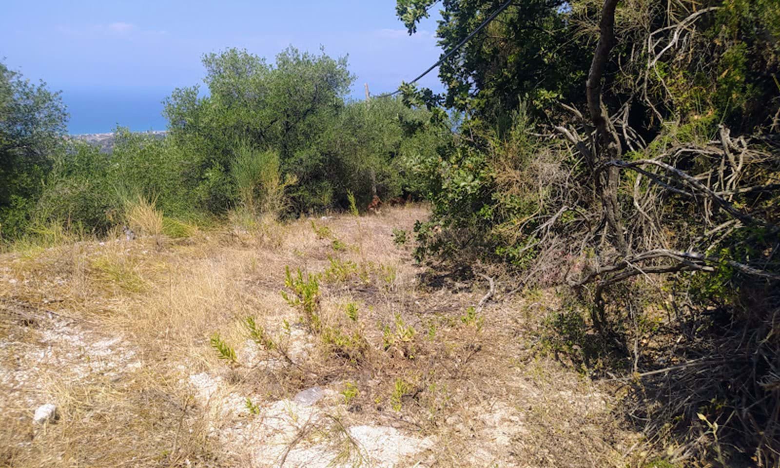 Listing photograph 6 of 10 of the land in Agios Martinos, published by Corfu Home Finders.