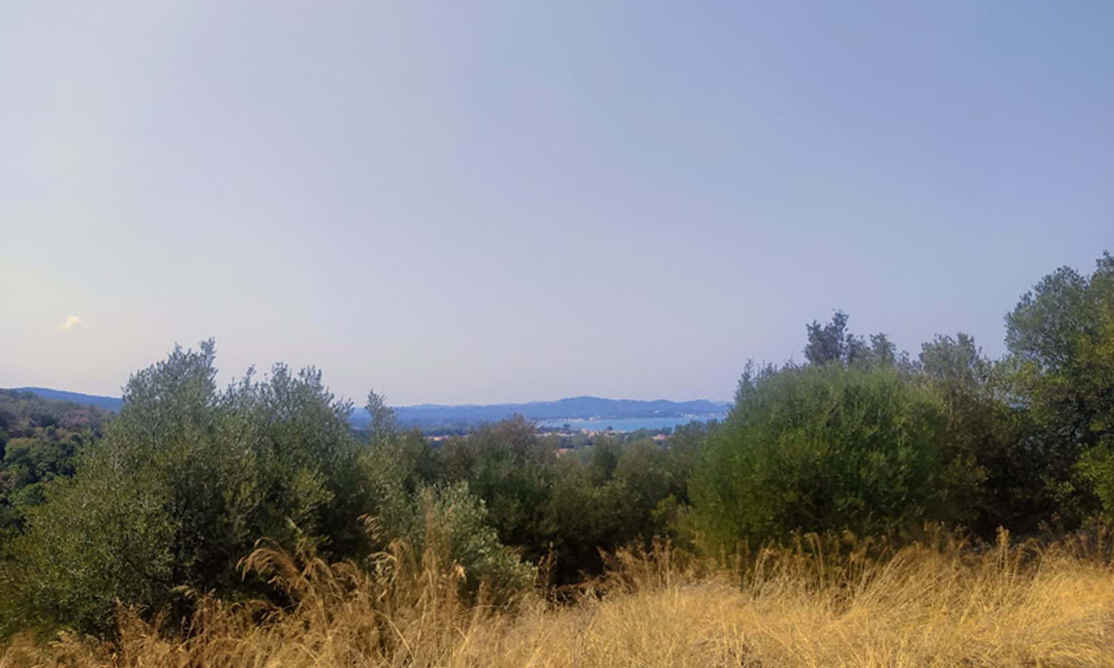 Listing photograph 4 of 8 of the land in Acharavi, published by Corfu Home Finders.