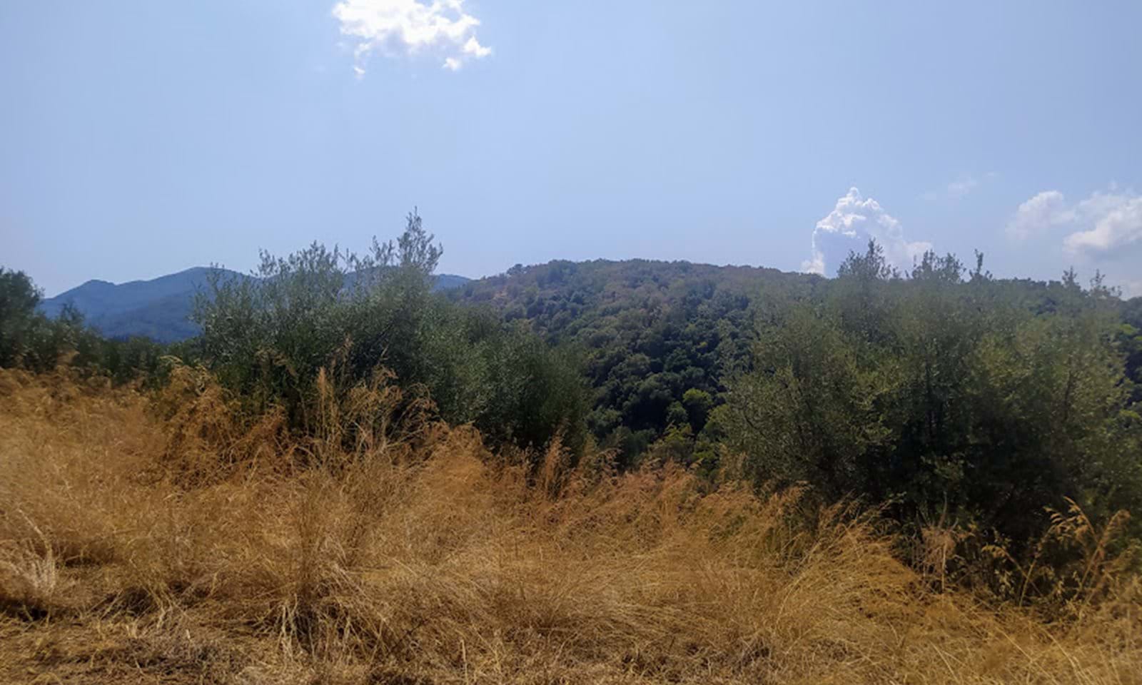 Listing photograph 2 of 8 of the land in Acharavi, published by Corfu Home Finders.