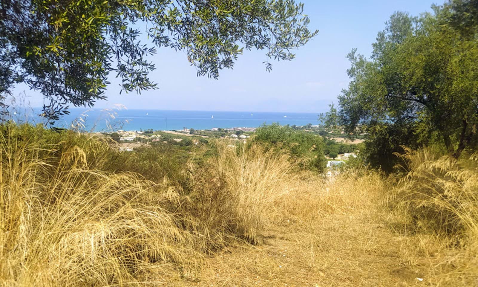 Listing photograph 6 of 8 of the land in Acharavi, published by Corfu Home Finders.