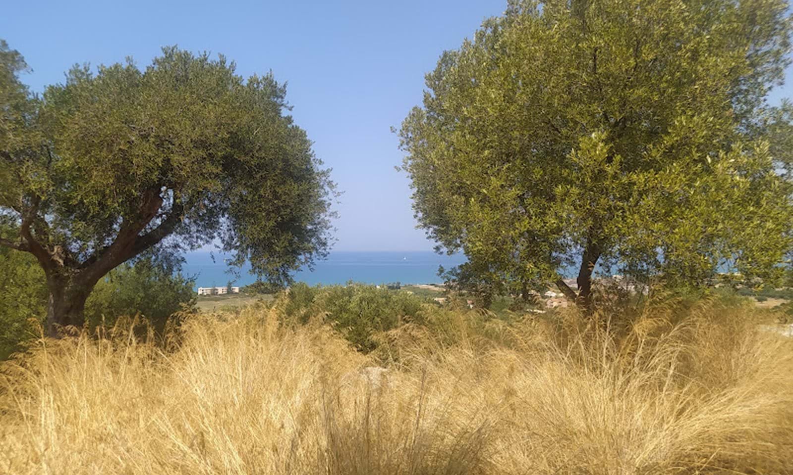 Listing photograph 5 of 8 of the land in Acharavi, published by Corfu Home Finders.