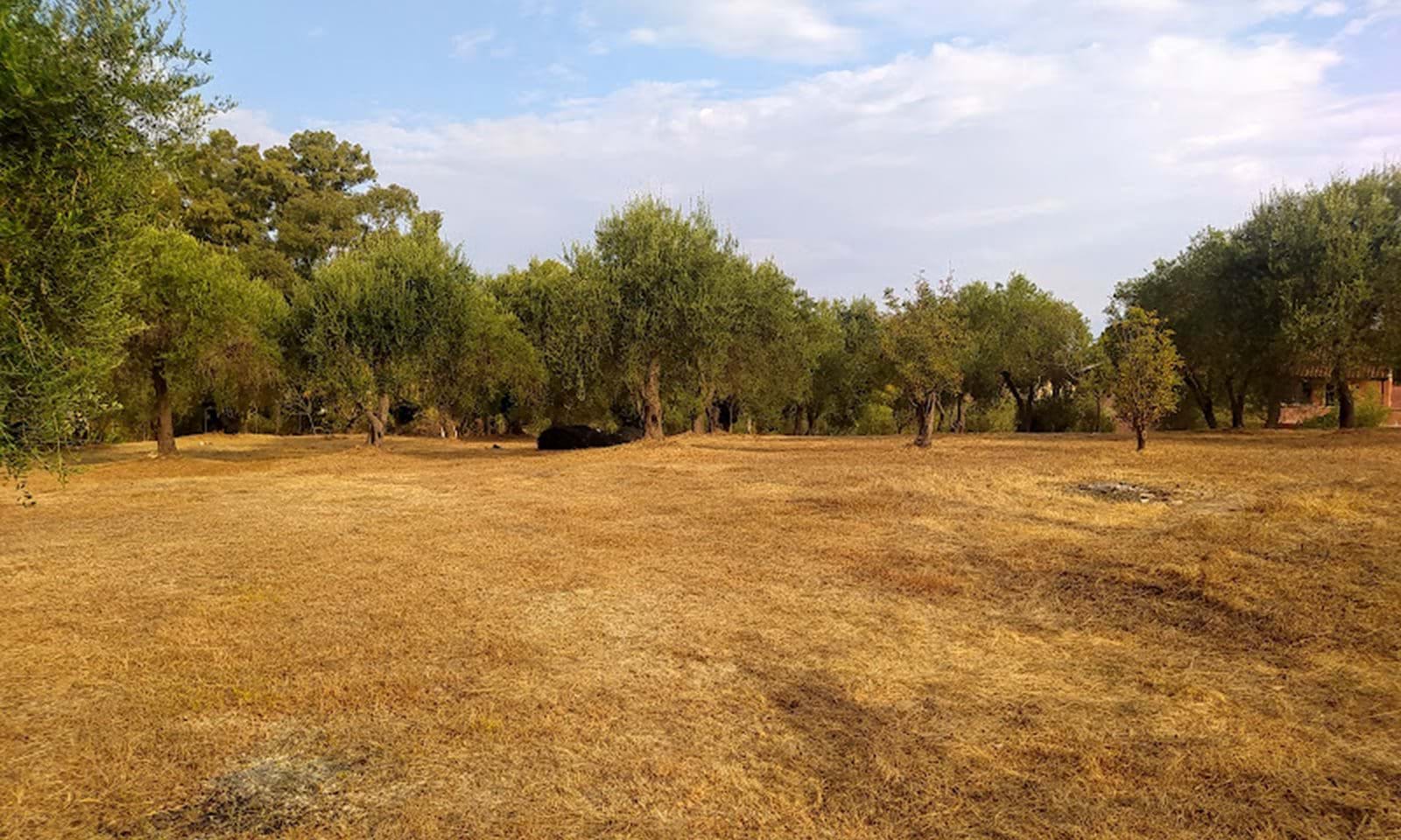 Listing photograph 2 of 6 of the land in Roda, published by Corfu Home Finders.