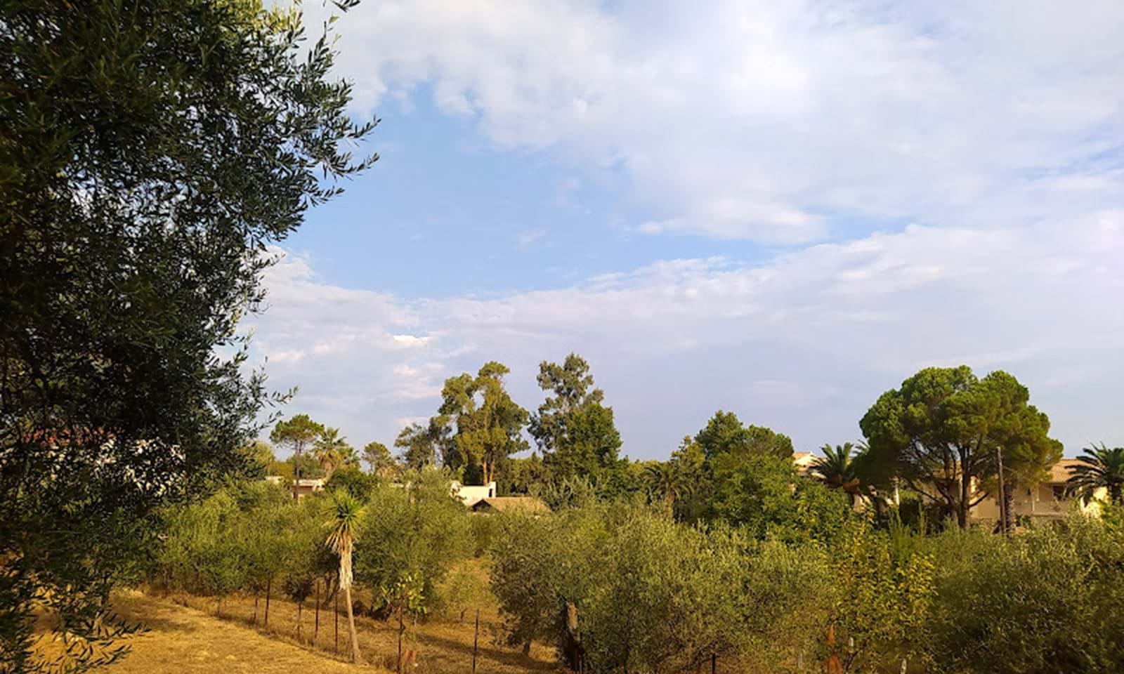 Listing photograph 3 of 6 of the land in Roda, published by Corfu Home Finders.