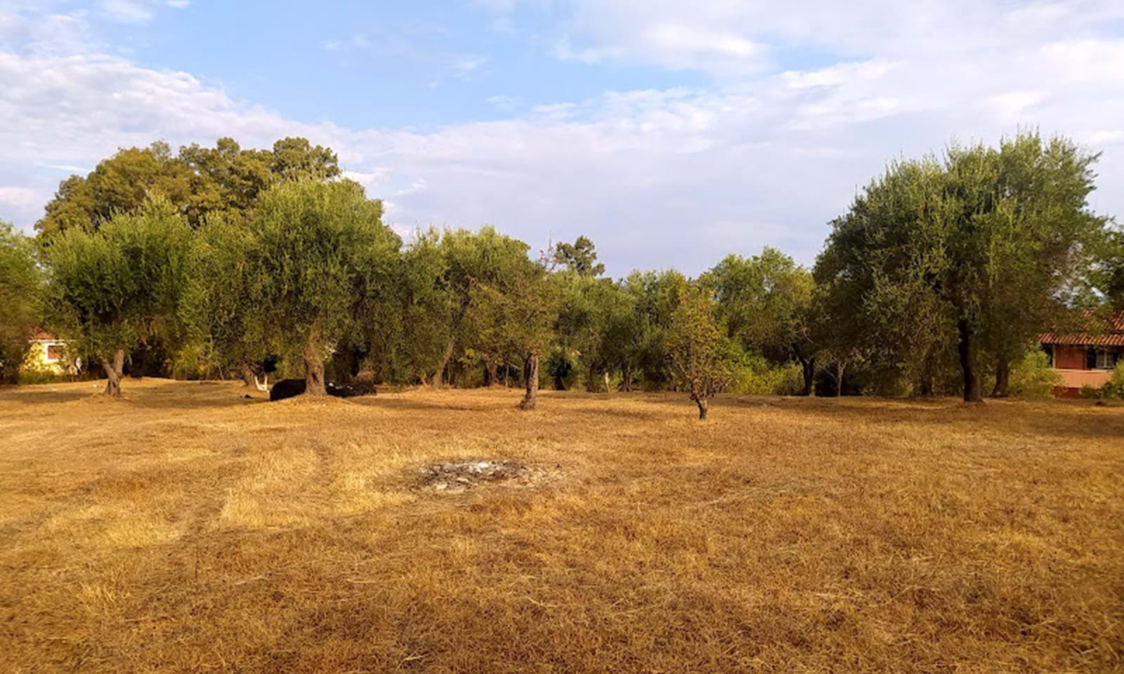 Listing photograph 5 of 6 of the land in Roda, published by Corfu Home Finders.
