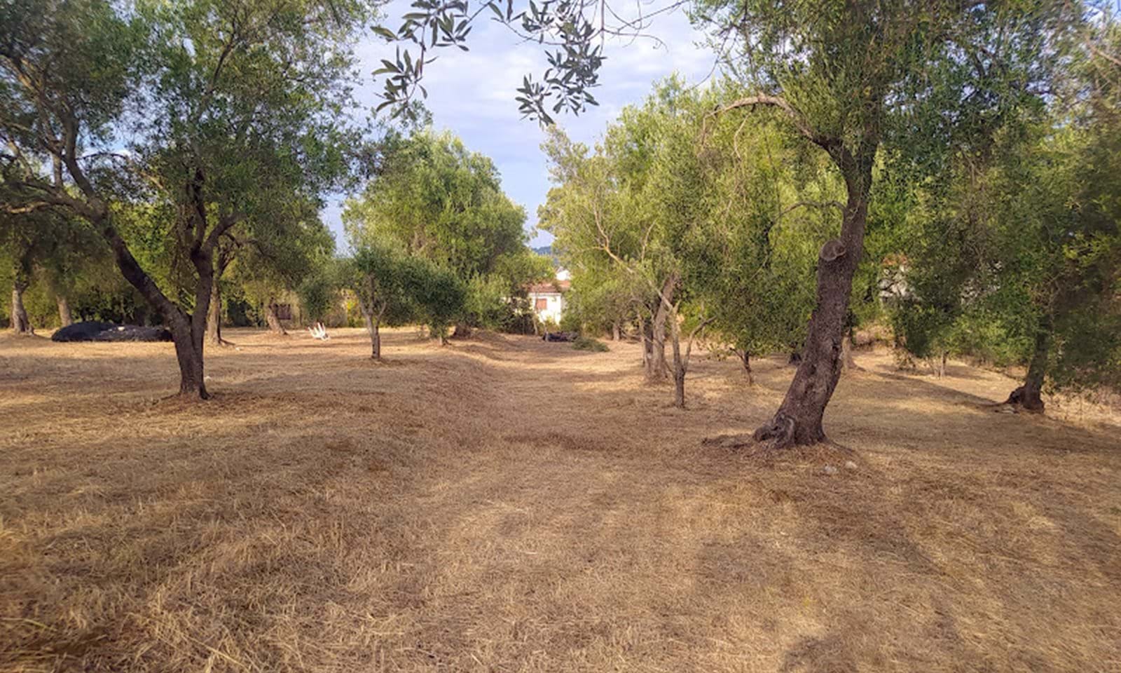 Listing photograph 6 of 6 of the land in Roda, published by Corfu Home Finders.