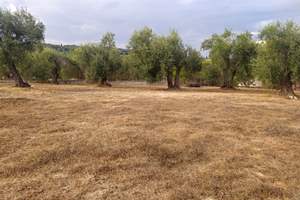 KAMARI LAND, Roda, Corfu