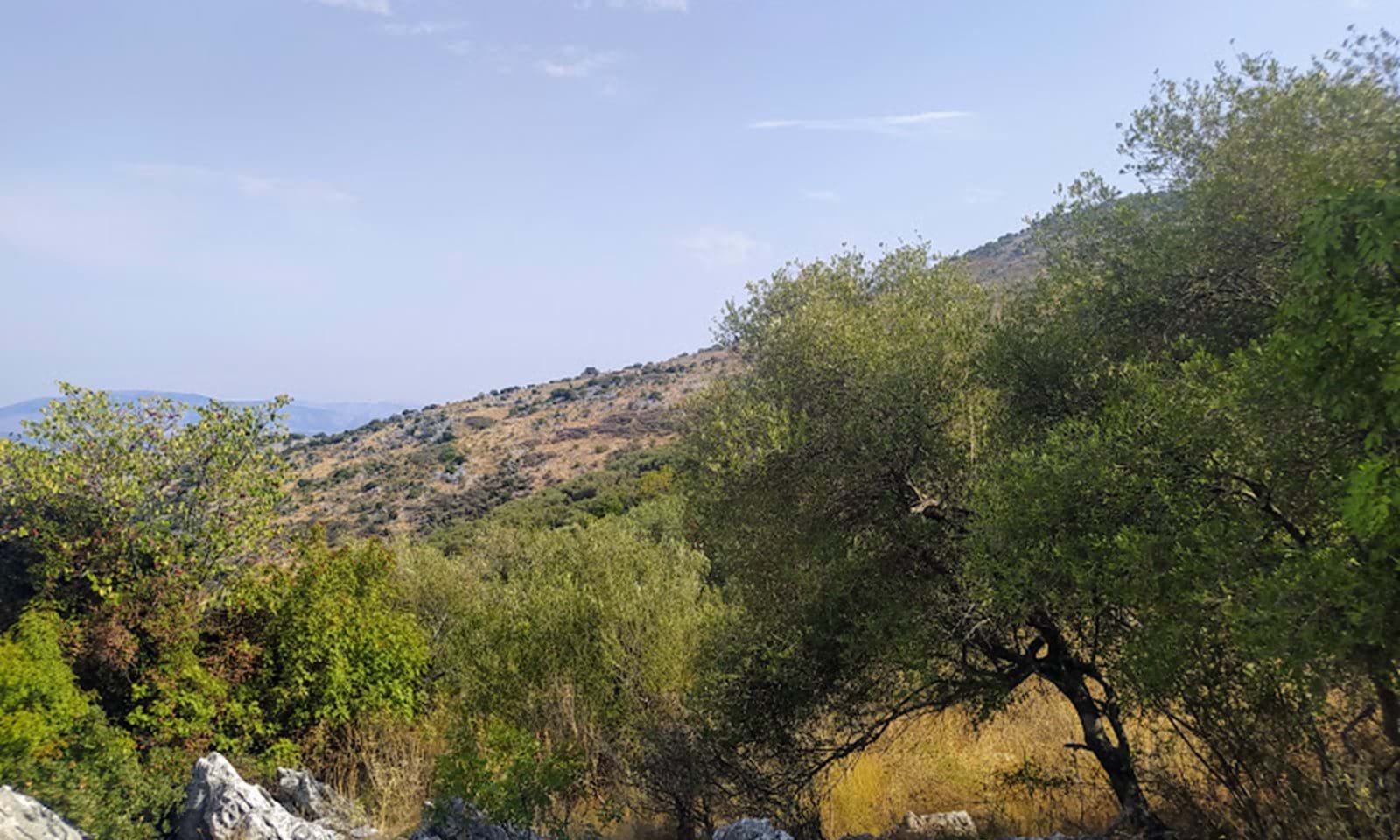 Listing photograph 3 of 9 of the land in Loutses, published by Corfu Home Finders.