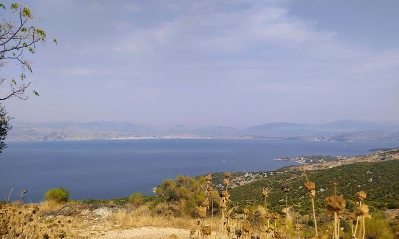Listing photograph 6 of 9 of the land in Loutses, published by Corfu Home Finders.