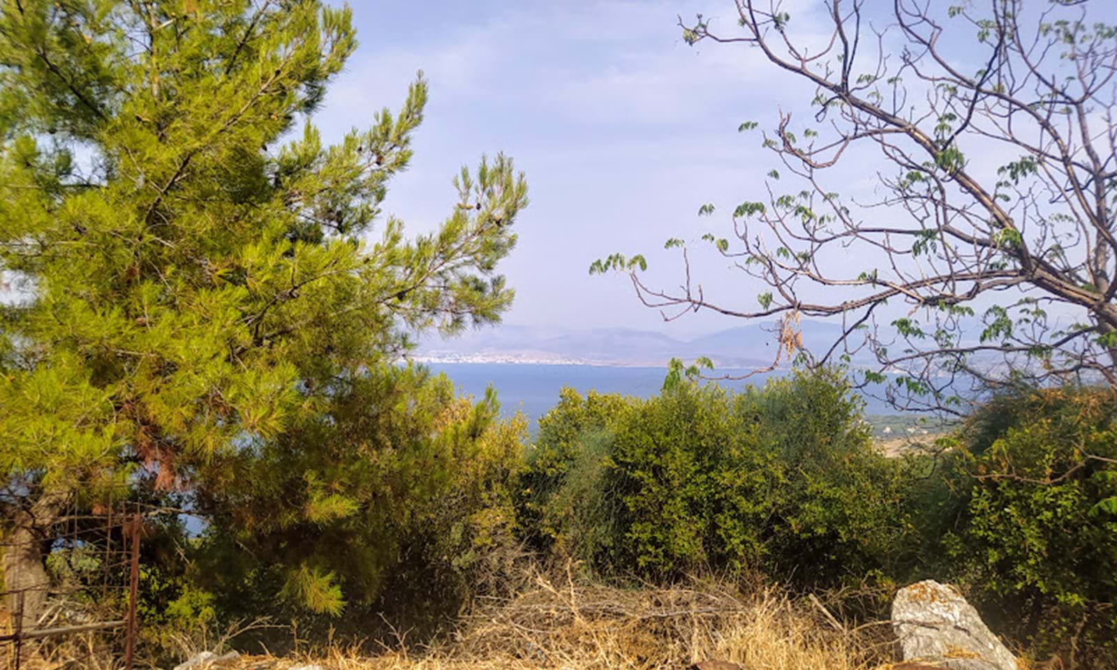 Listing photograph 7 of 9 of the land in Loutses, published by Corfu Home Finders.