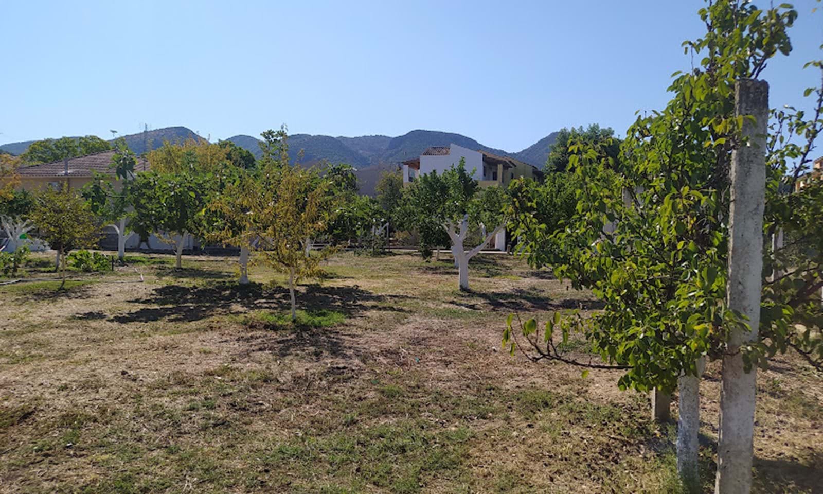 Listing photograph 1 of 5 of the land in Acharavi, published by Corfu Home Finders.