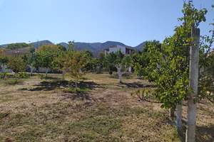 ACHARAVI LAND, Acharavi, Corfu