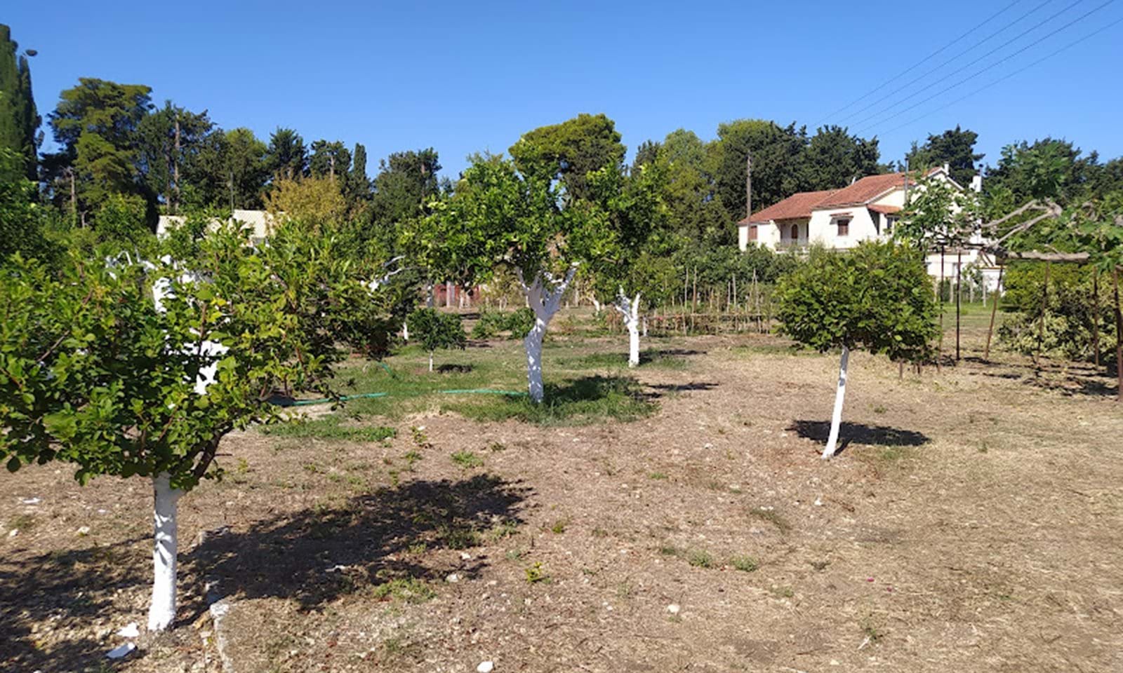 Listing photograph 4 of 5 of the land in Acharavi, published by Corfu Home Finders.