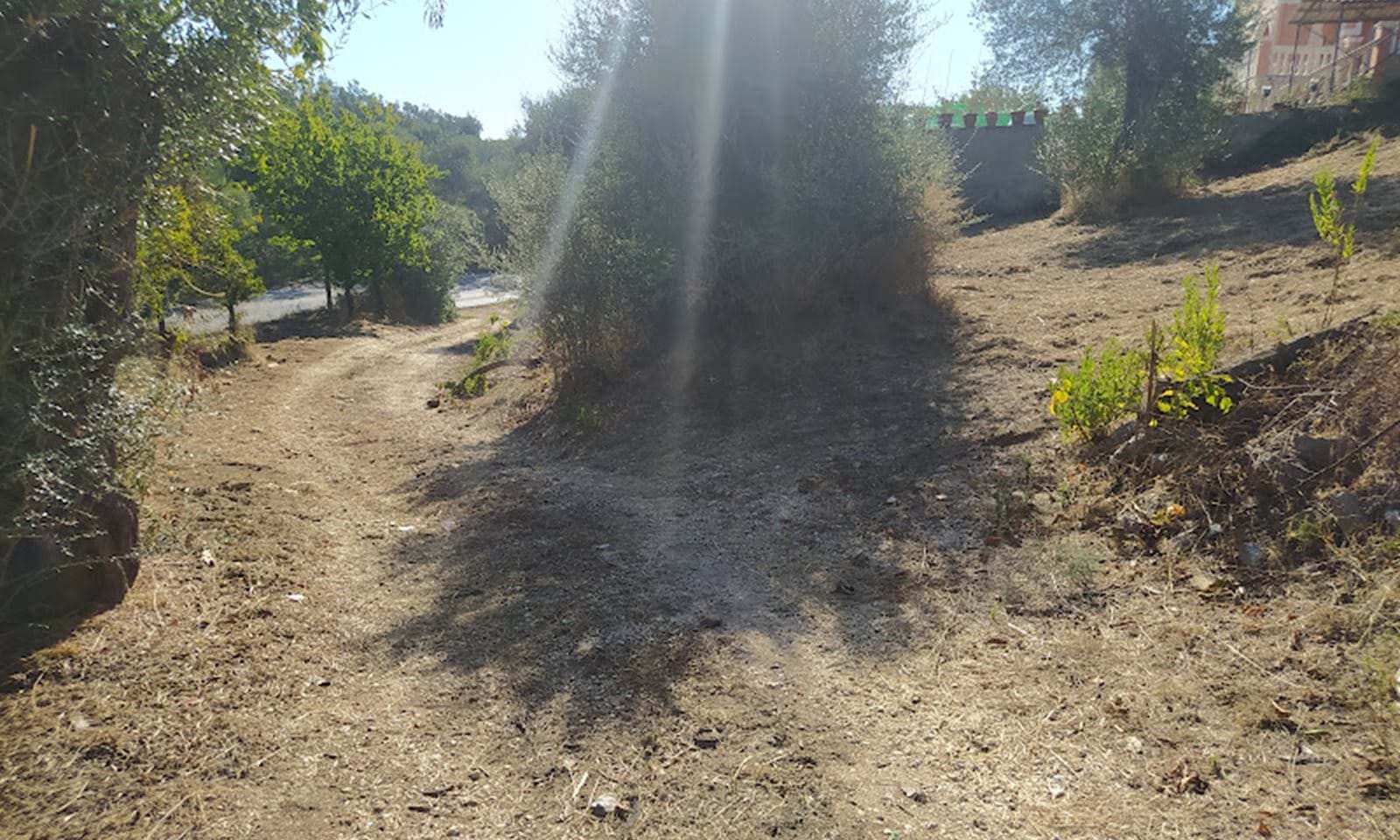 Listing photograph 6 of 6 of the land in Perithia, published by Corfu Home Finders.