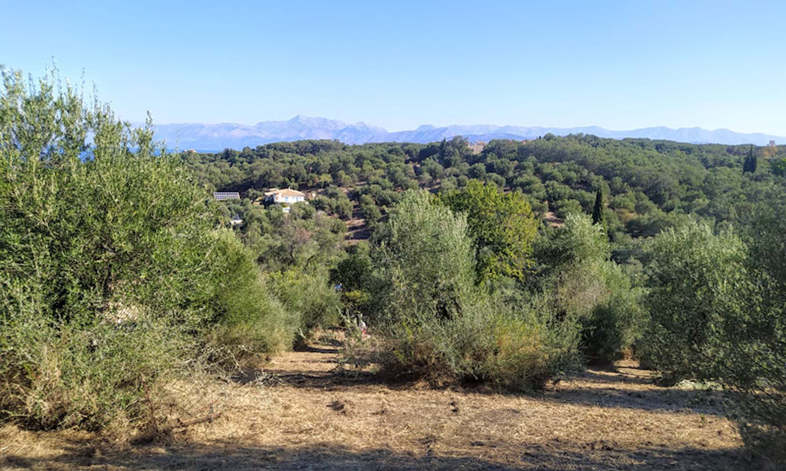 Listing photograph 4 of 6 of the land in Perithia, published by Corfu Home Finders.