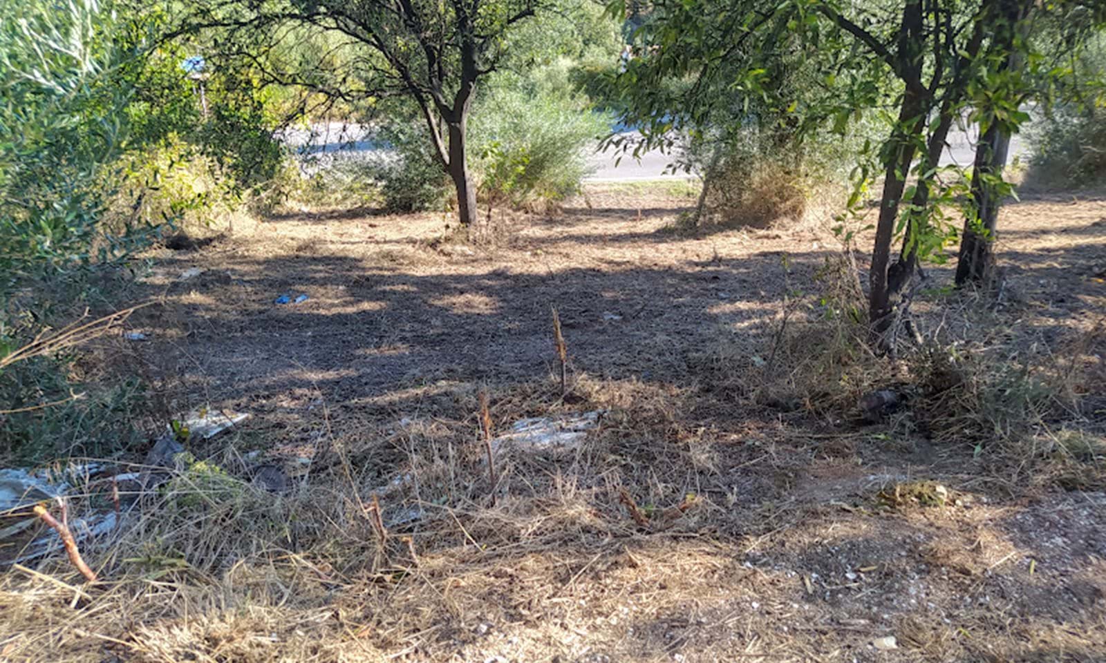 Listing photograph 3 of 6 of the land in Perithia, published by Corfu Home Finders.