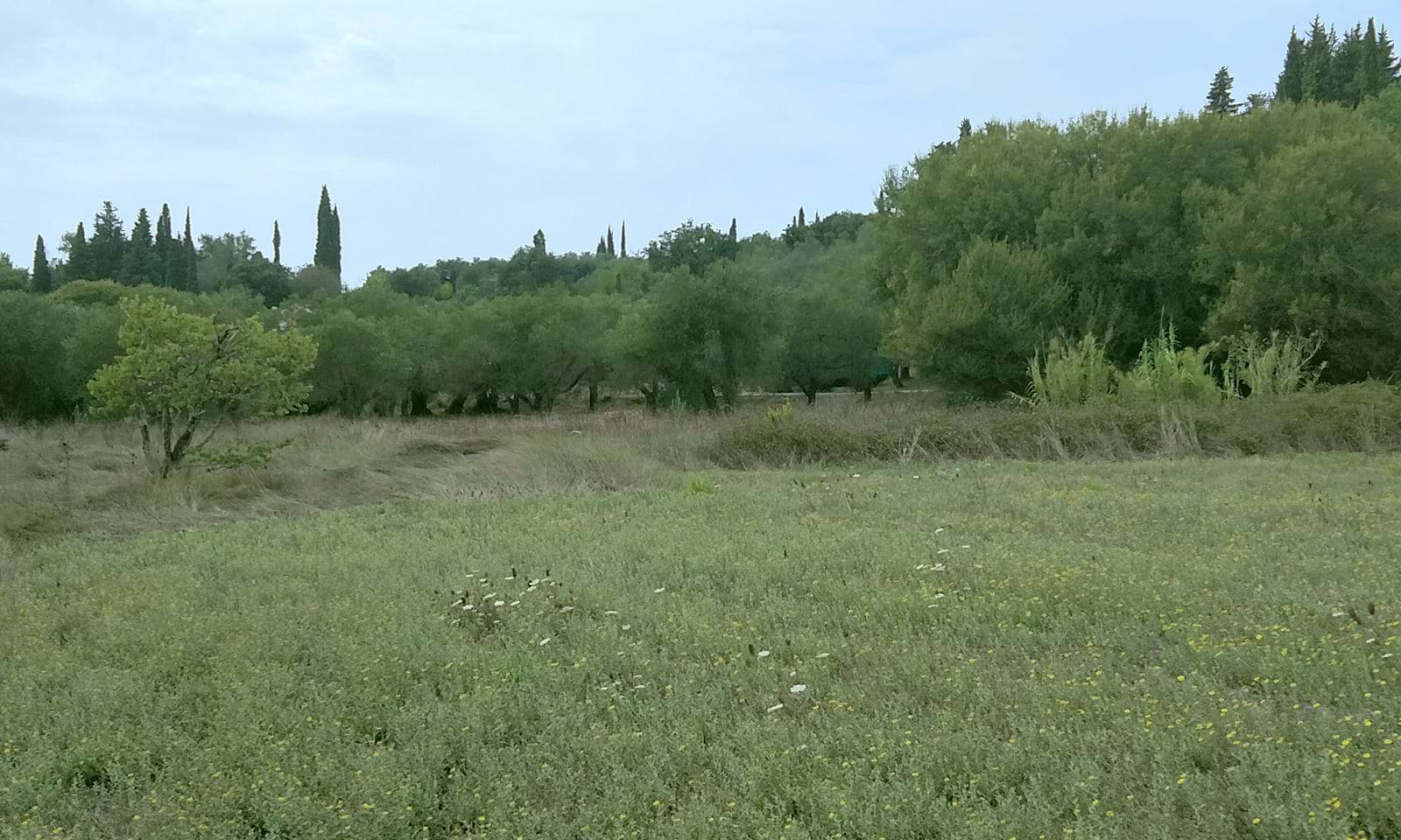 Listing photograph 2 of 5 of the land in Gardelades, published by Corfu Home Finders.
