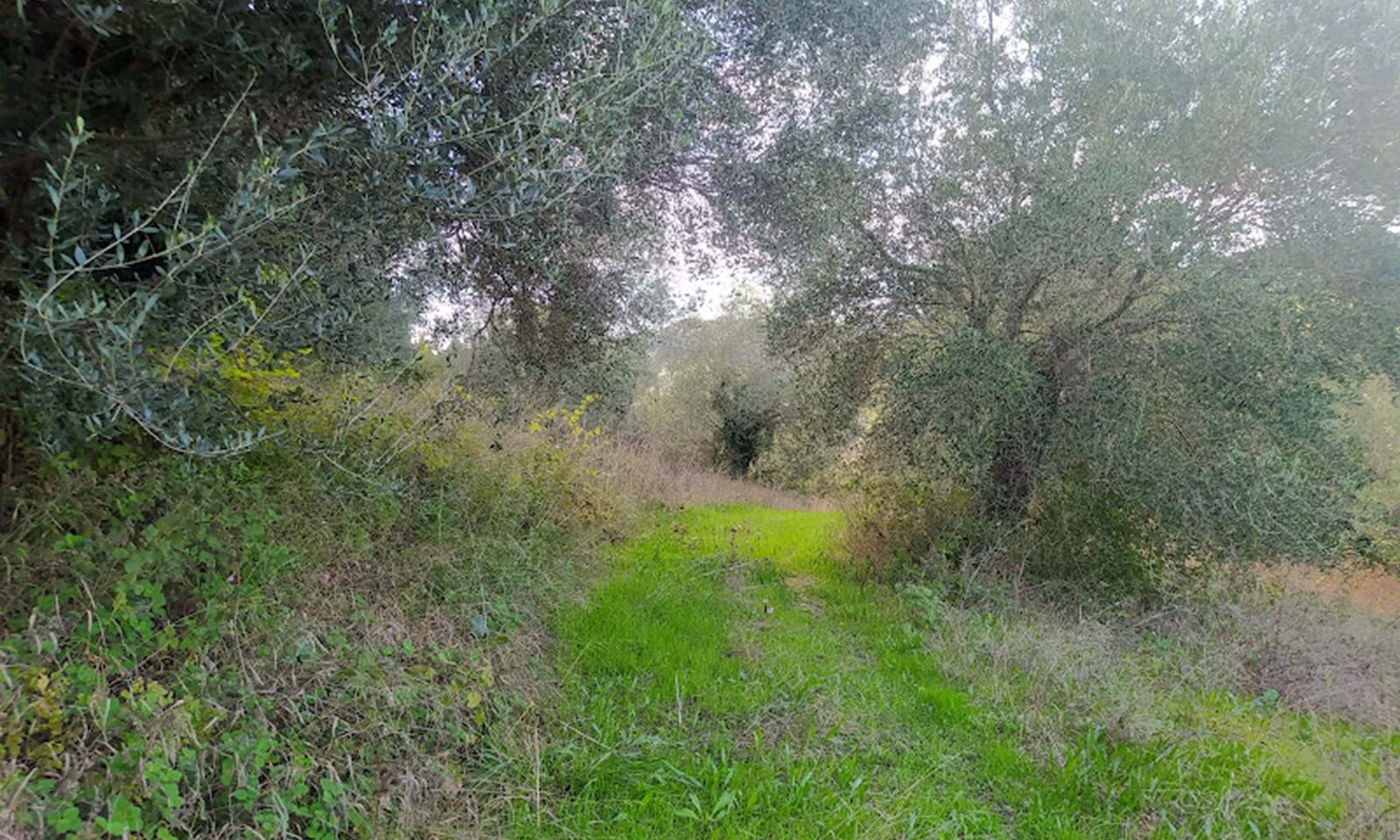 Listing photograph 7 of 7 of the land in Sidari, published by Corfu Home Finders.