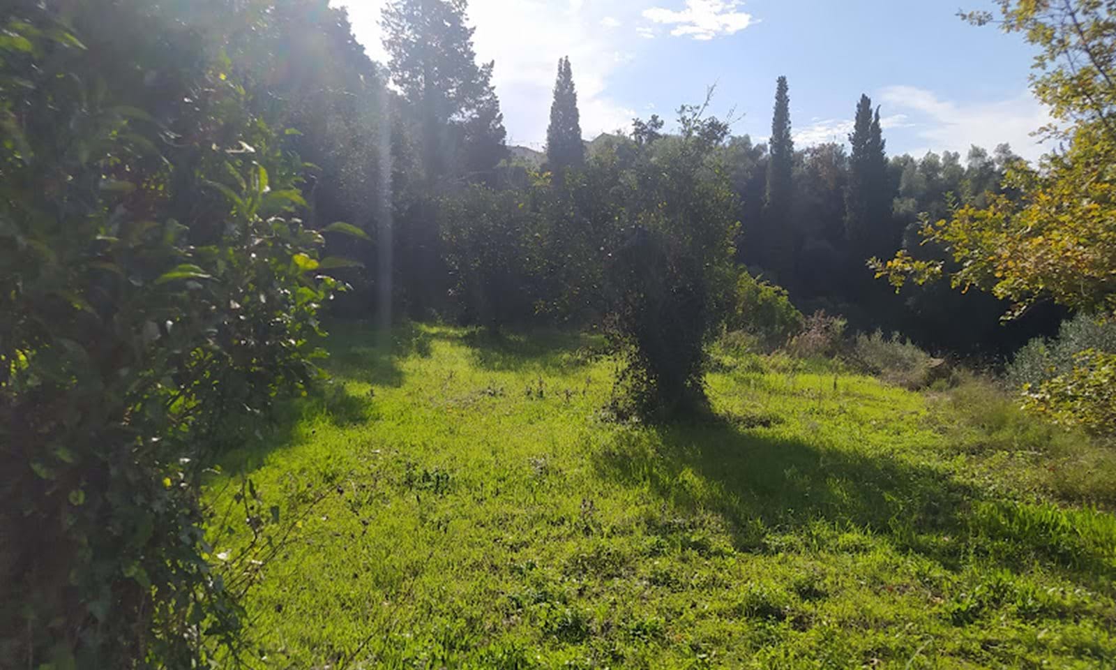 Listing photograph 6 of 7 of the land in Sidari, published by Corfu Home Finders.