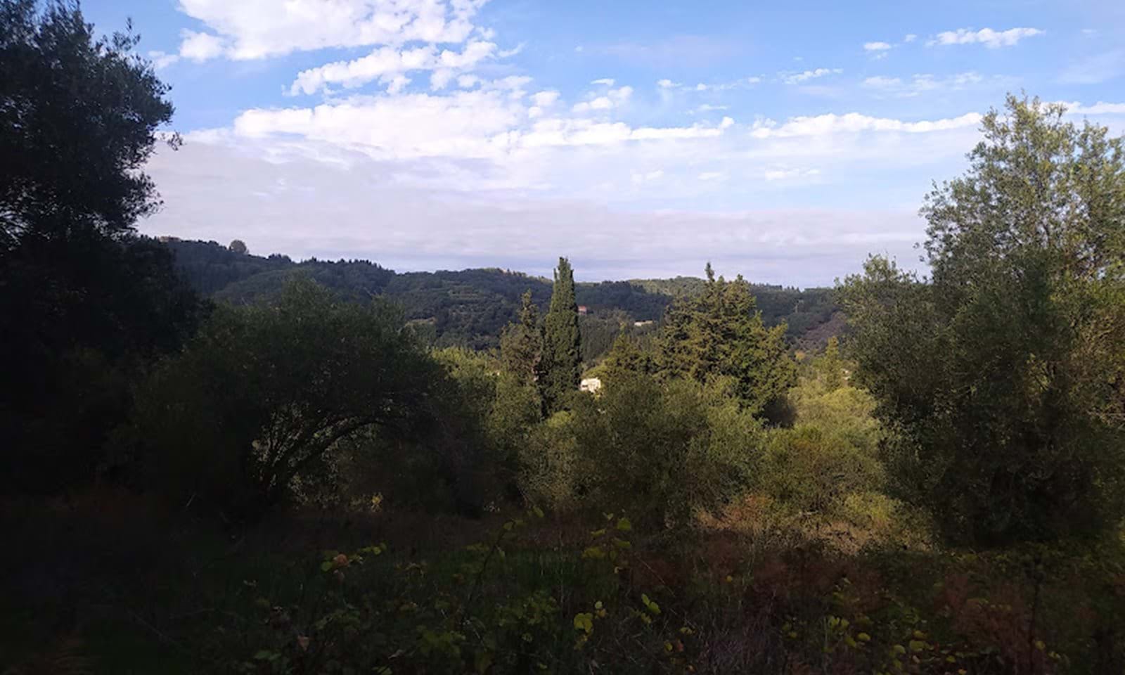 Listing photograph 5 of 7 of the land in Sidari, published by Corfu Home Finders.