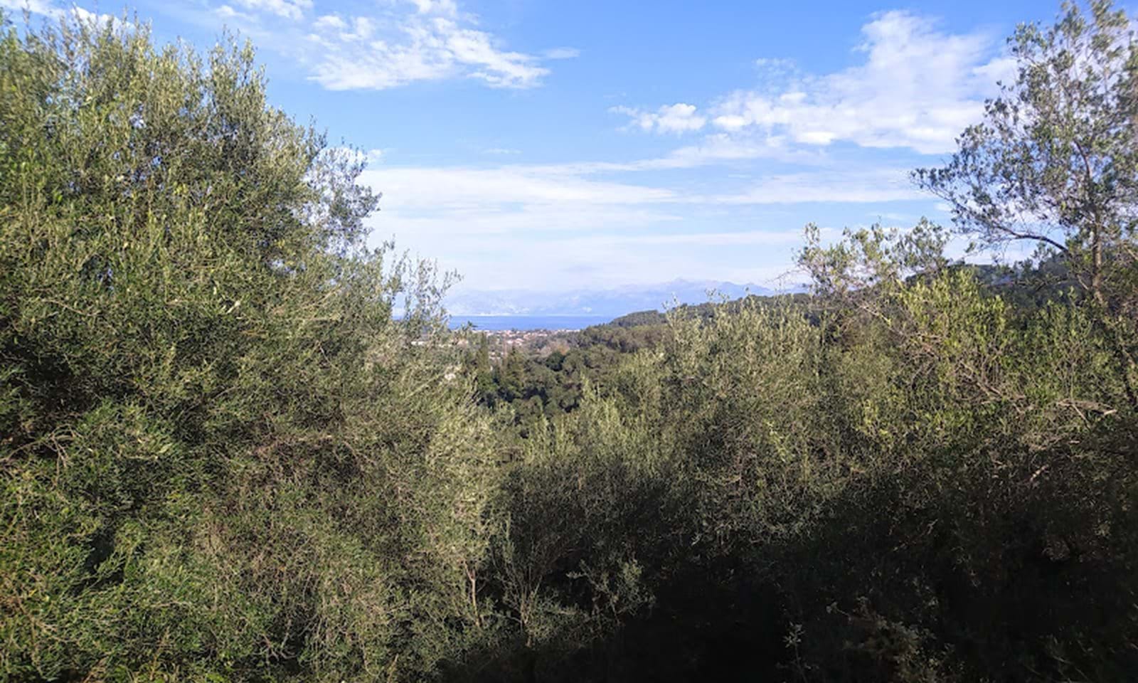 Listing photograph 1 of 7 of the land in Sidari, published by Corfu Home Finders.