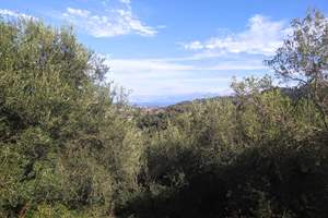 KOUNAVADES ESTATE, Kounavades, Corfu