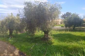 Image for property: 18994