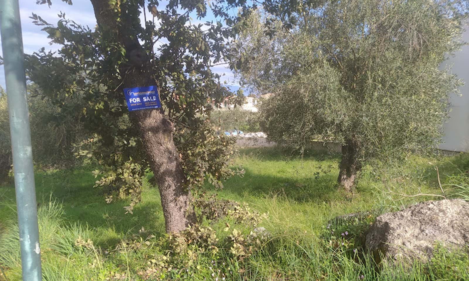 Listing photograph 4 of 5 of the land in Acharavi, published by Corfu Home Finders.