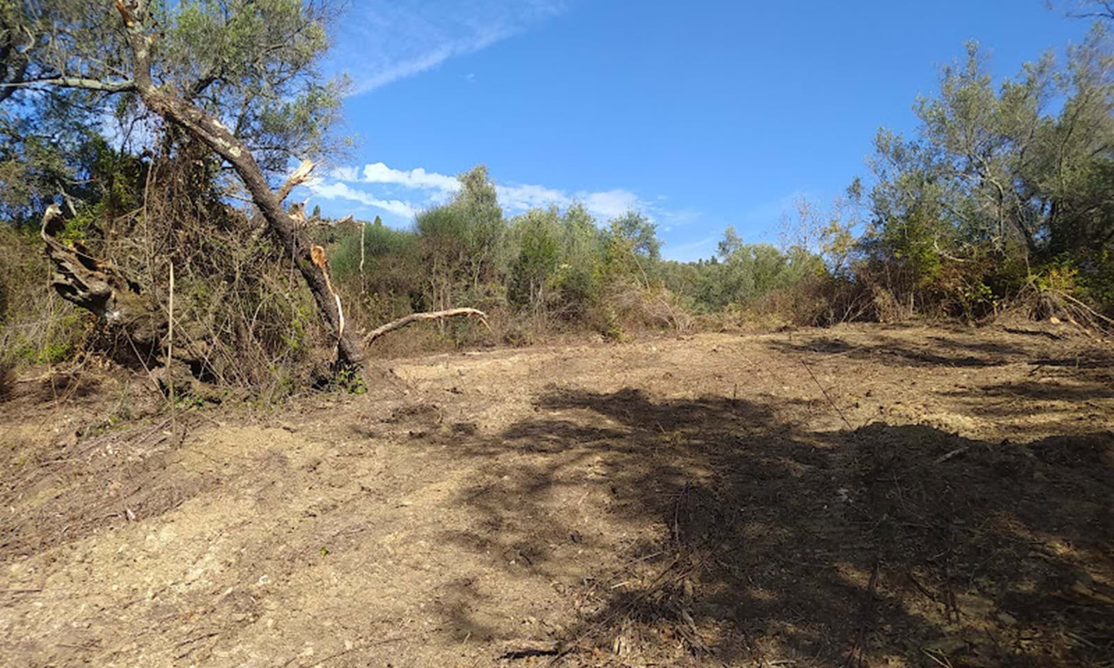 Listing photograph 11 of 14 of the land in Dafni, published by Corfu Home Finders.