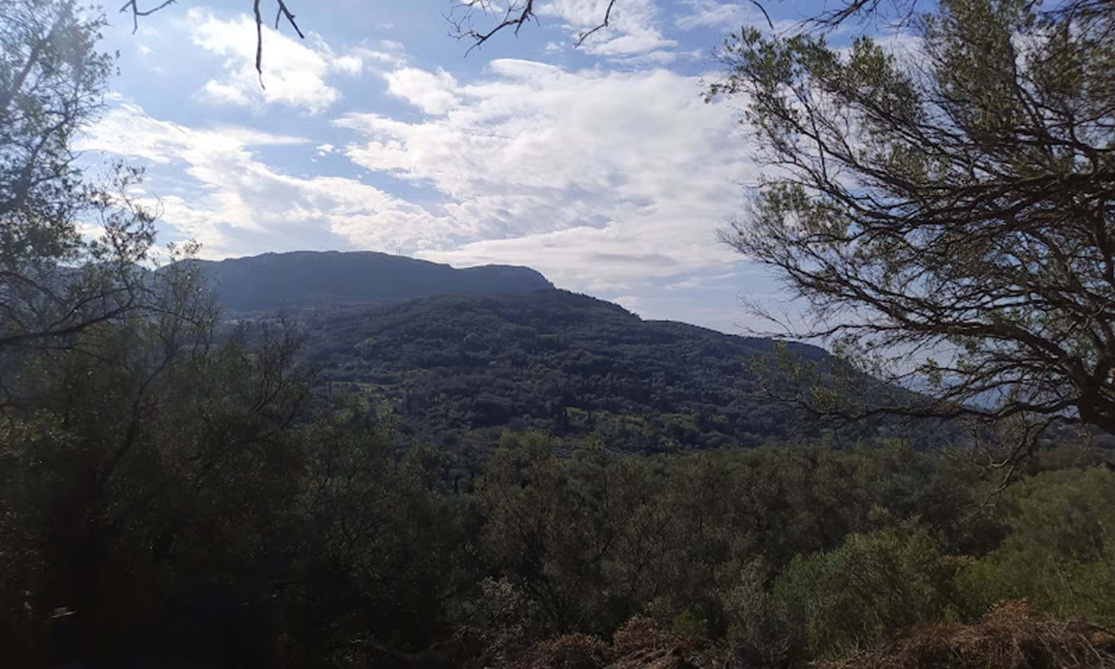 Listing photograph 14 of 14 of the land in Dafni, published by Corfu Home Finders.
