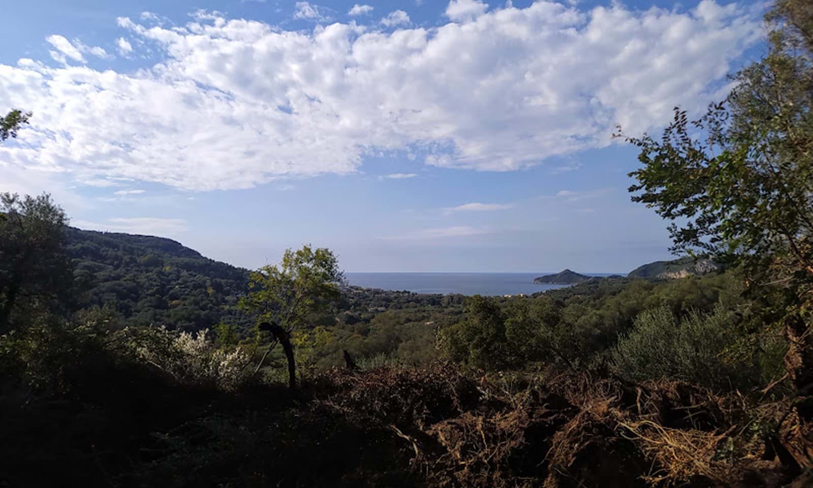 Listing photograph 1 of 14 of the land in Dafni, published by Corfu Home Finders.