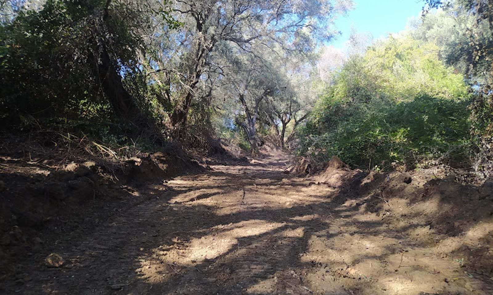 Listing photograph 8 of 14 of the land in Dafni, published by Corfu Home Finders.