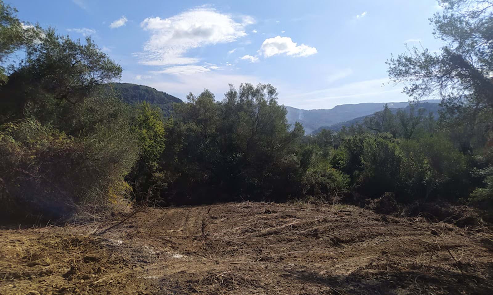 Listing photograph 13 of 14 of the land in Dafni, published by Corfu Home Finders.