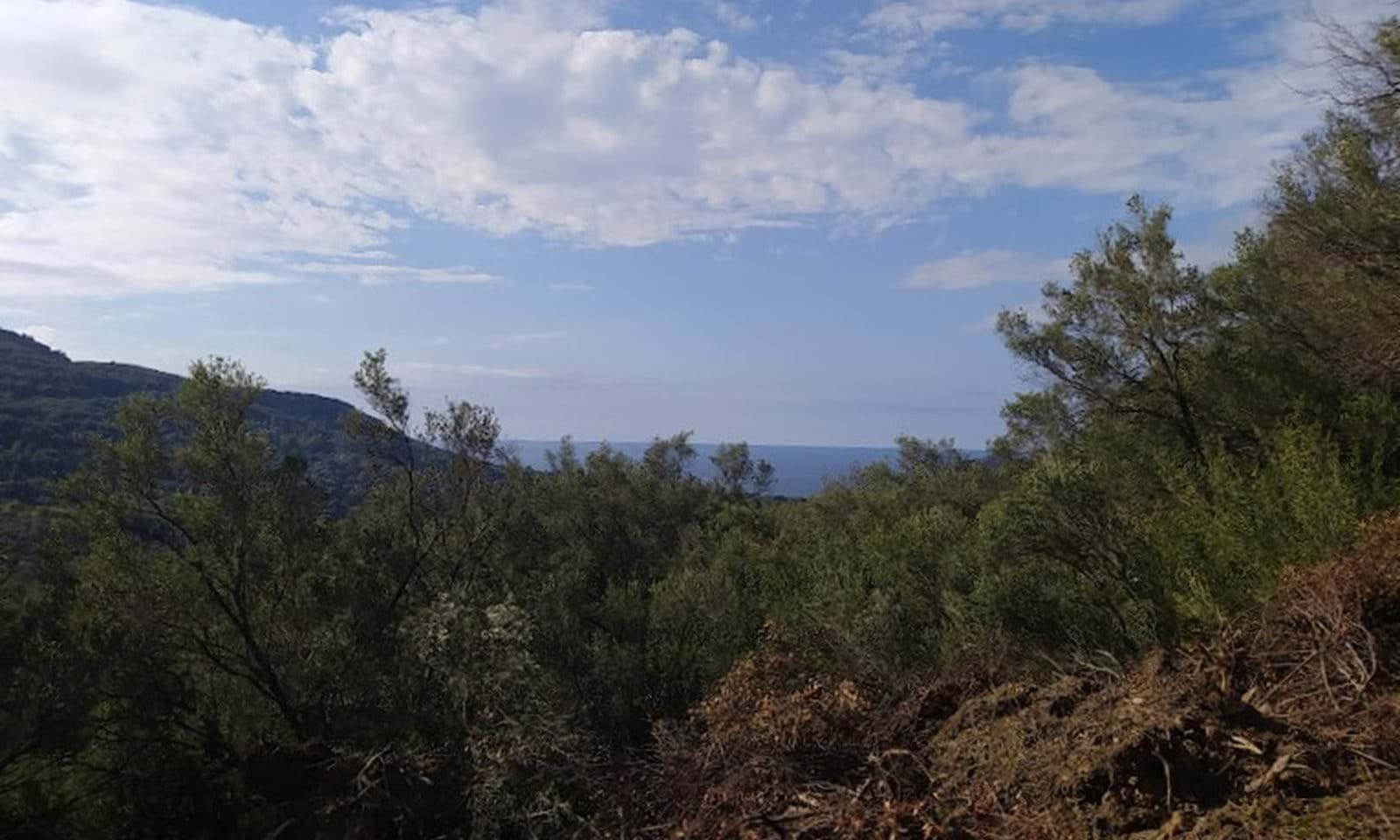 Listing photograph 4 of 14 of the land in Dafni, published by Corfu Home Finders.