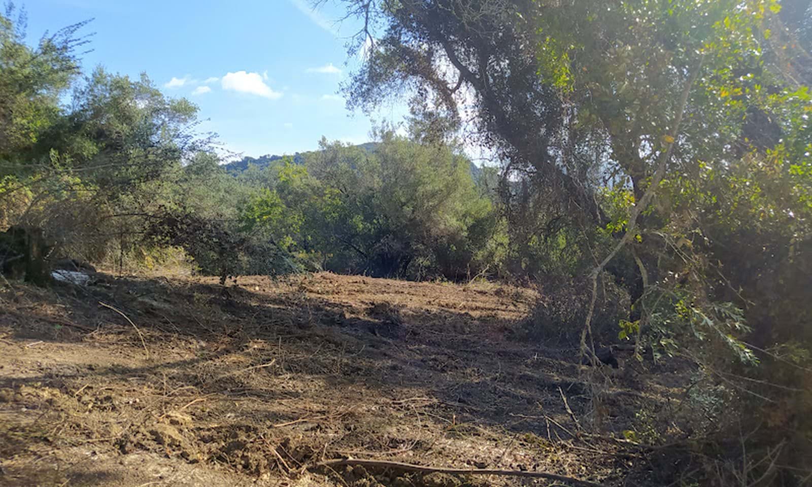 Listing photograph 12 of 14 of the land in Dafni, published by Corfu Home Finders.