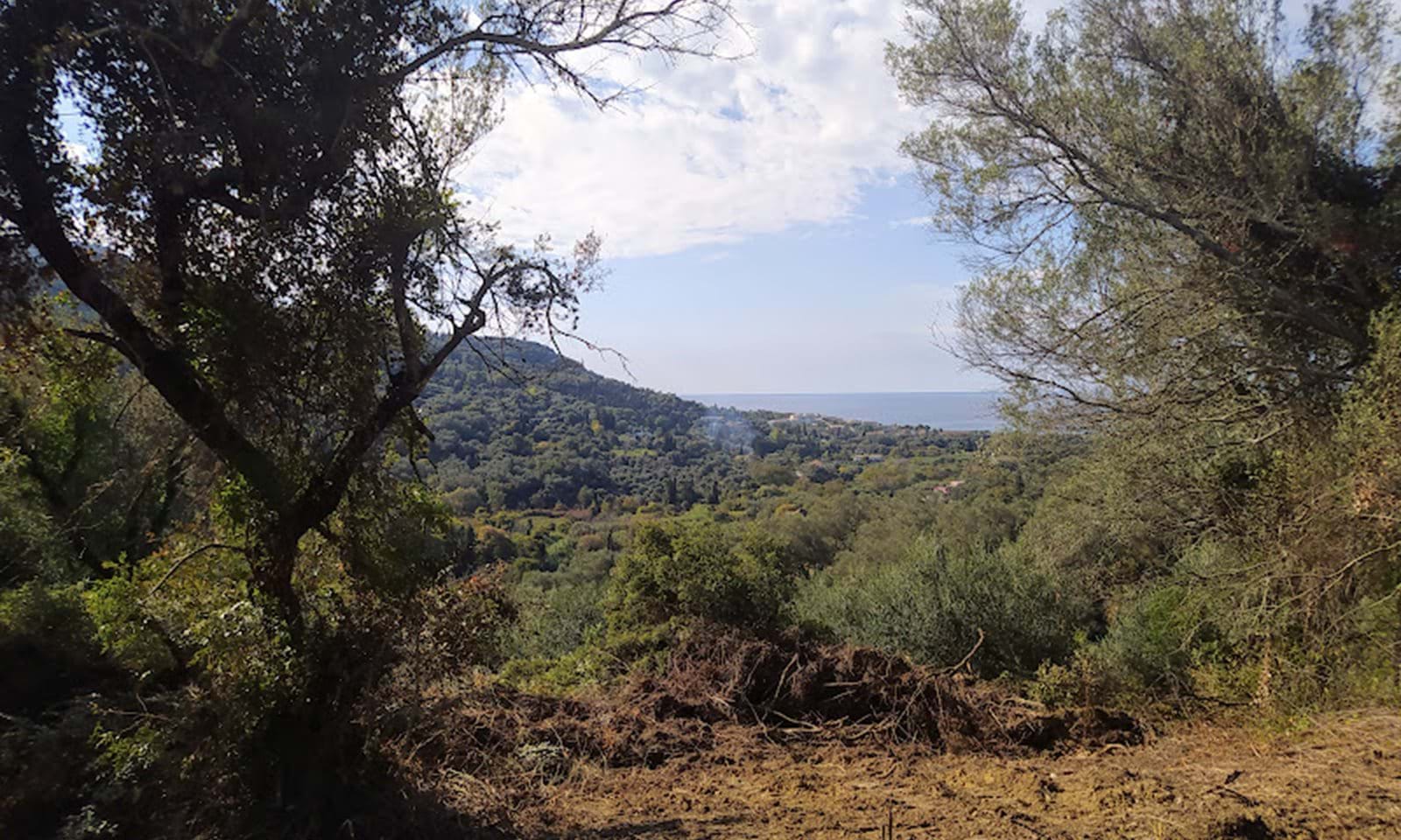 Listing photograph 5 of 14 of the land in Dafni, published by Corfu Home Finders.