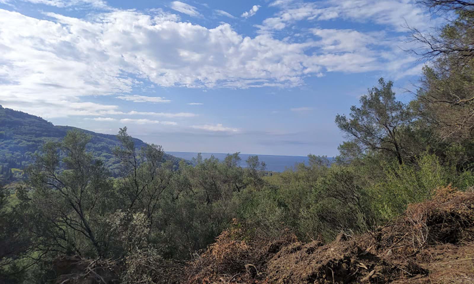 Listing photograph 2 of 14 of the land in Dafni, published by Corfu Home Finders.