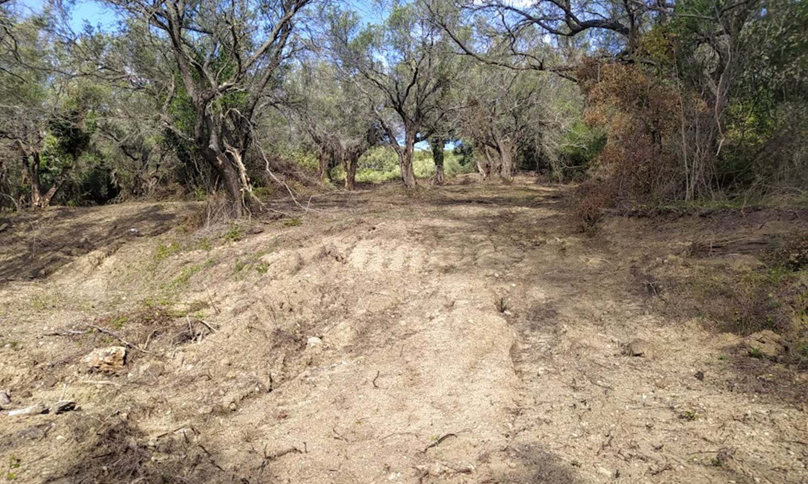 Listing photograph 3 of 14 of the land in Dafni, published by Corfu Home Finders.