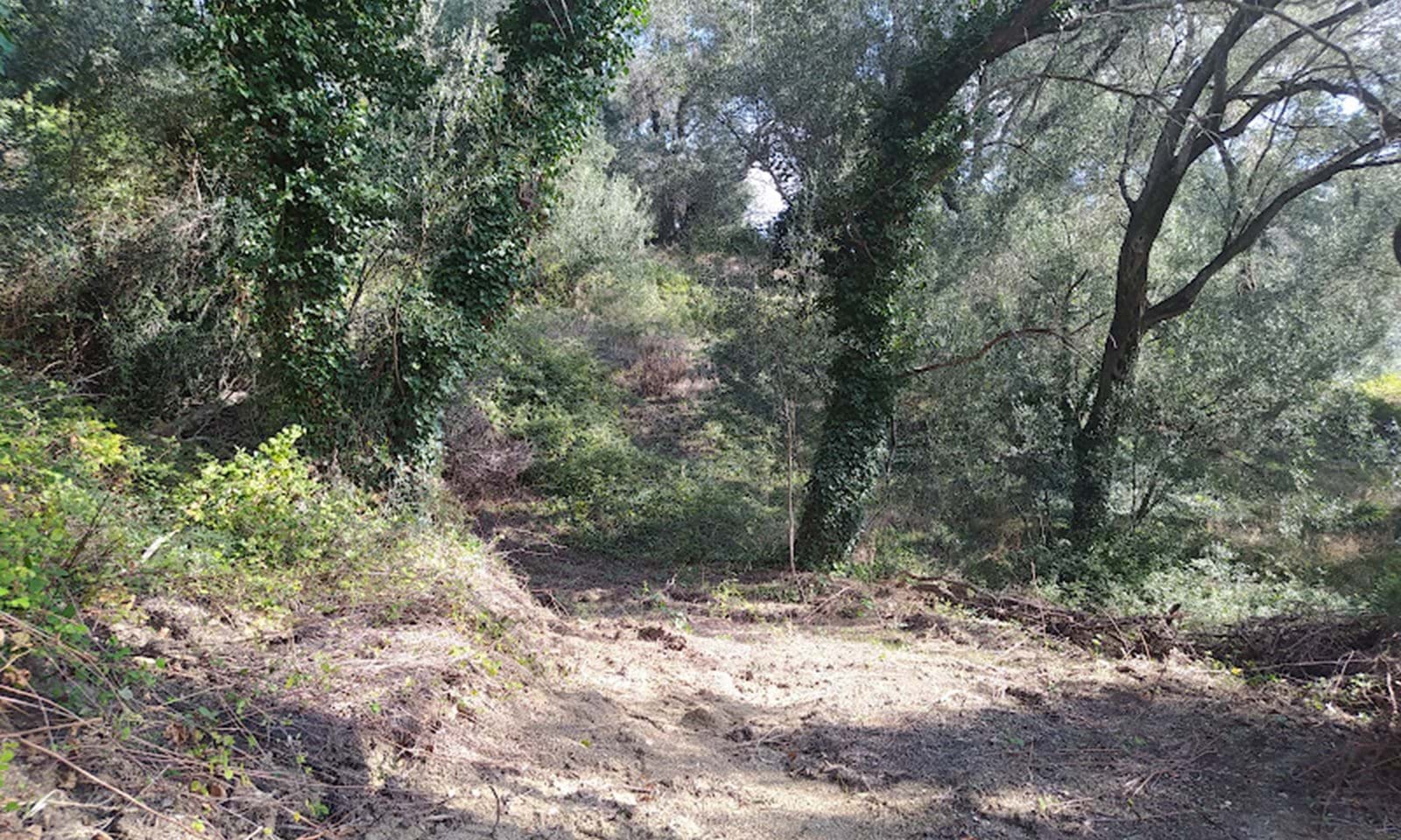Listing photograph 7 of 14 of the land in Dafni, published by Corfu Home Finders.