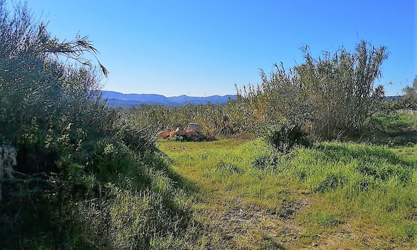 Listing photograph 4 of 5 of the land in Roda, published by Corfu Home Finders.