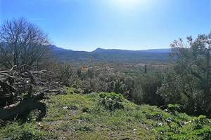 DIANTHUS LAND, Roda, Corfu