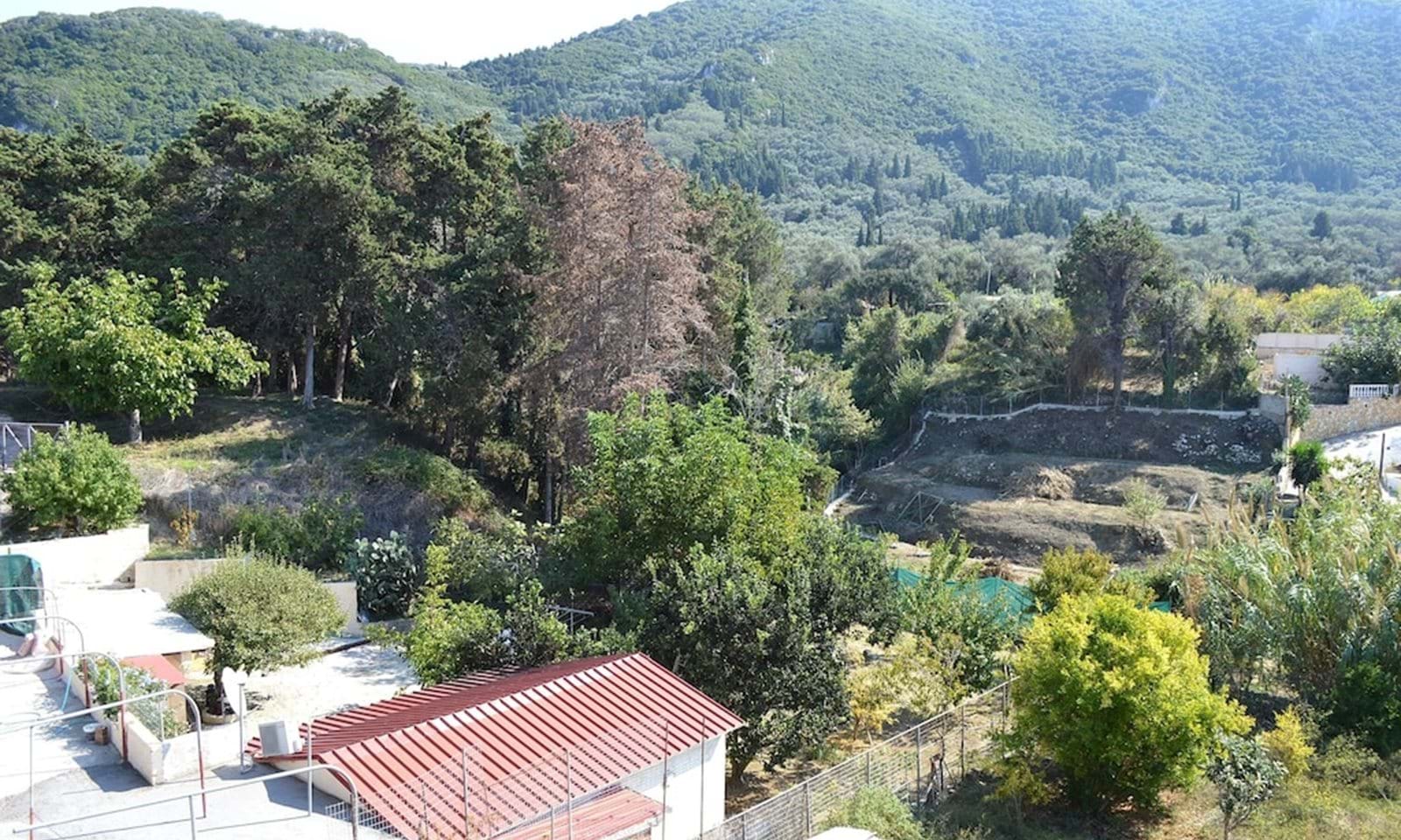 Listing photograph 11 of 11 of the apartment in Paramonas, published by Corfu Home Finders.