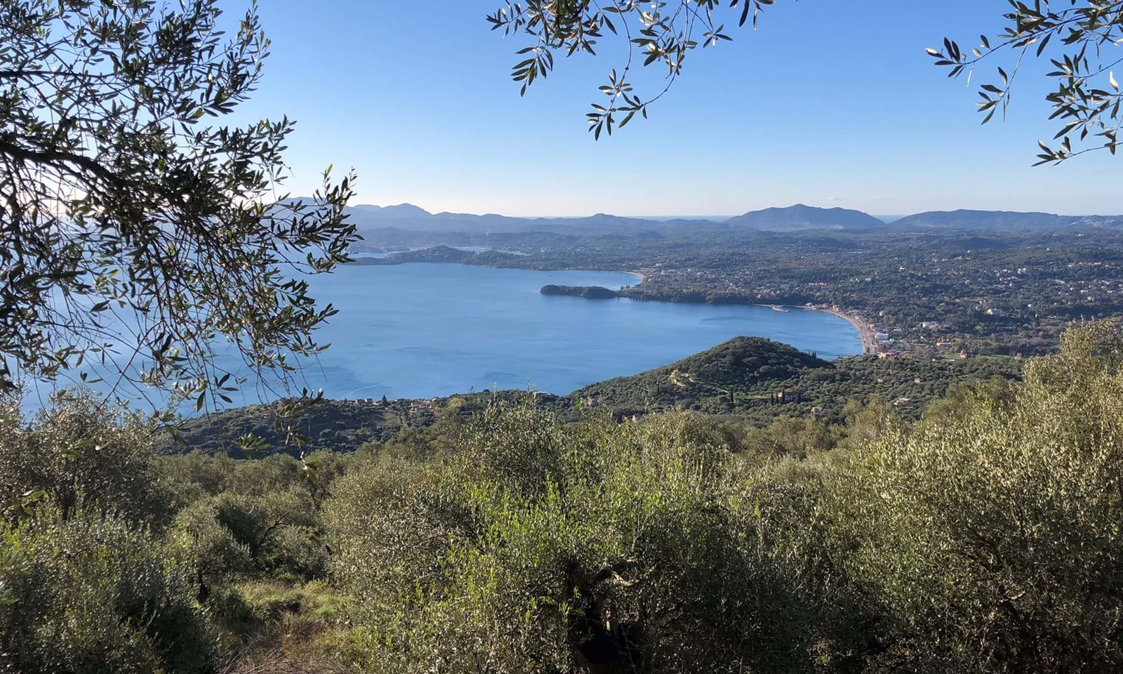 Listing photograph 3 of 8 of the land in Spartilas, published by Corfu Home Finders.