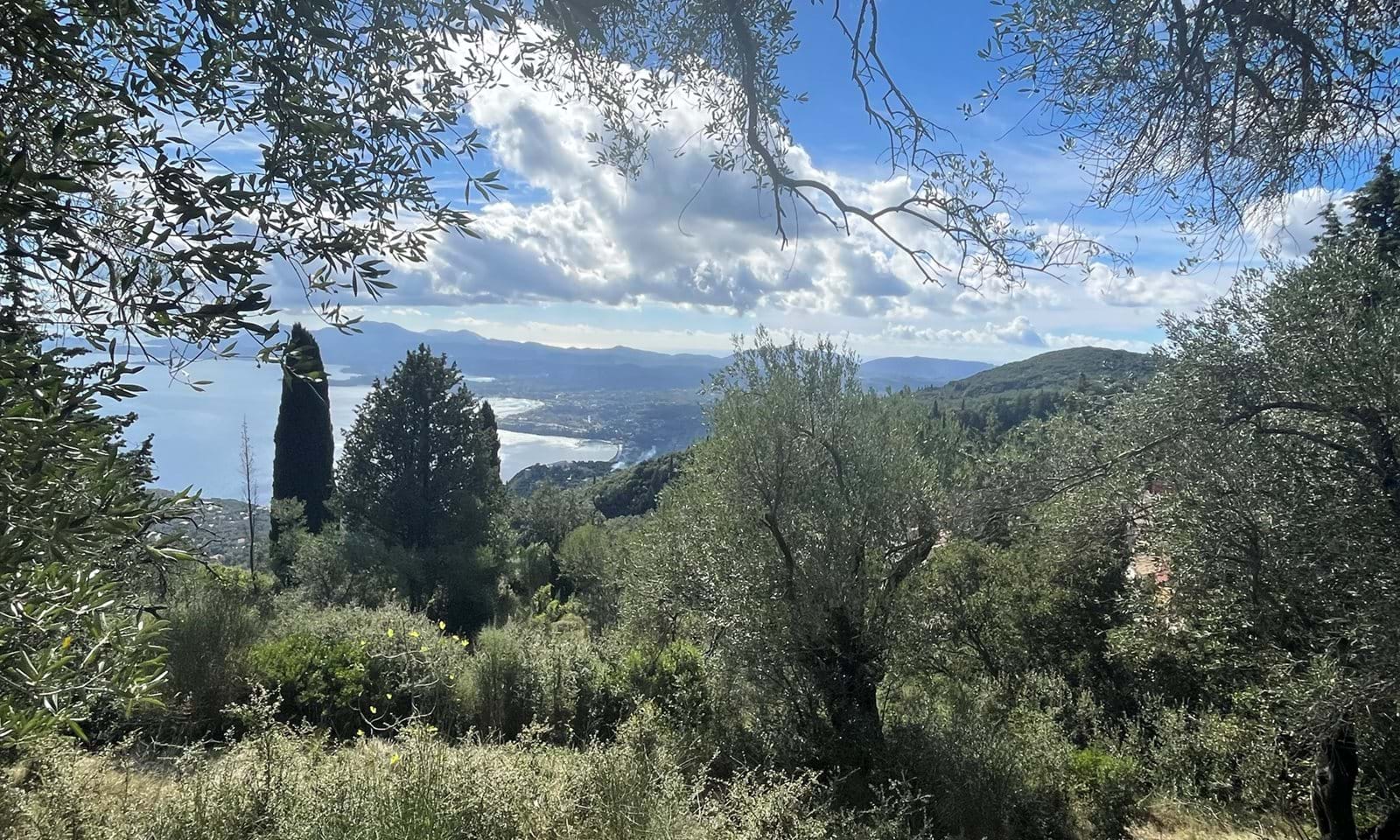 Listing photograph 4 of 8 of the land in Spartilas, published by Corfu Home Finders.