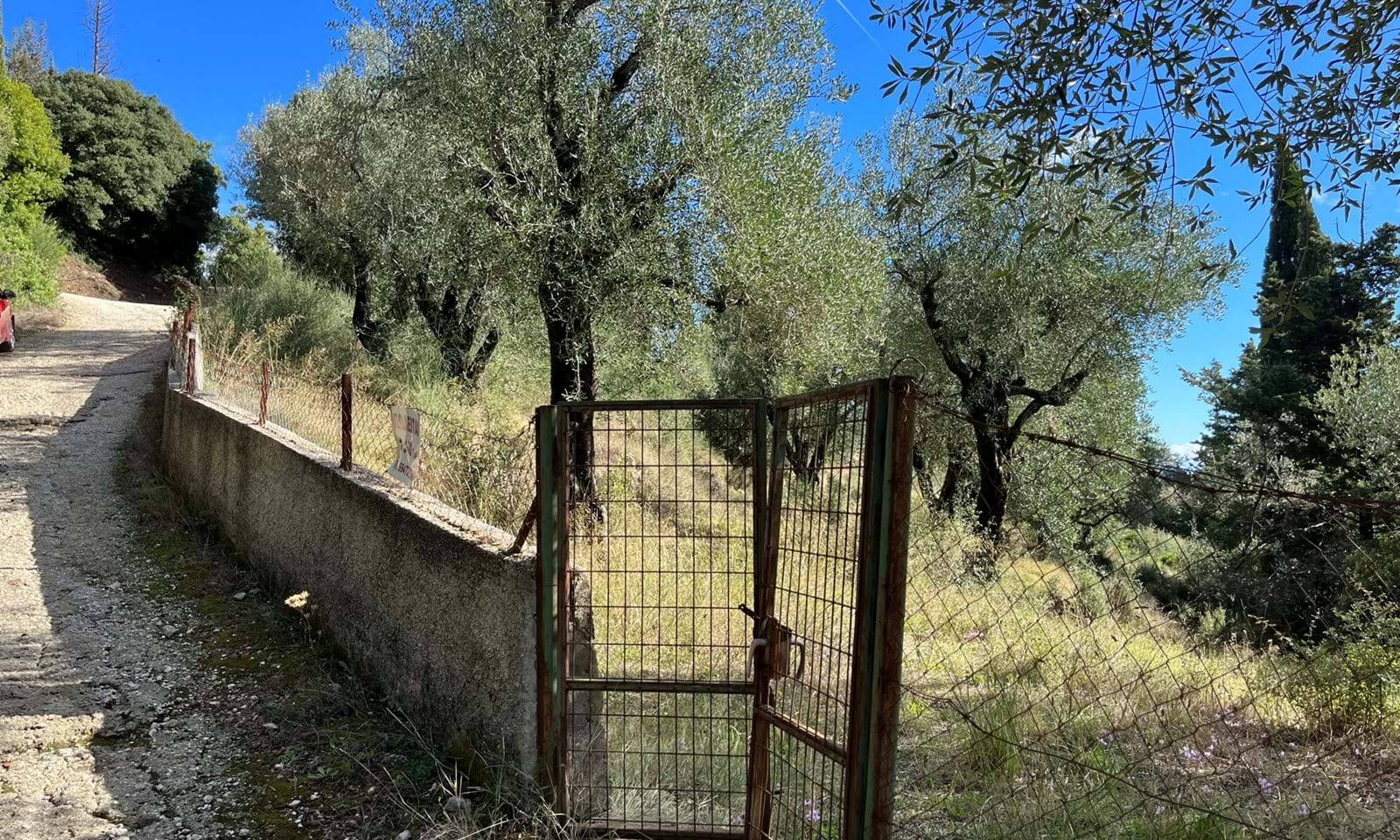 Listing photograph 6 of 8 of the land in Spartilas, published by Corfu Home Finders.