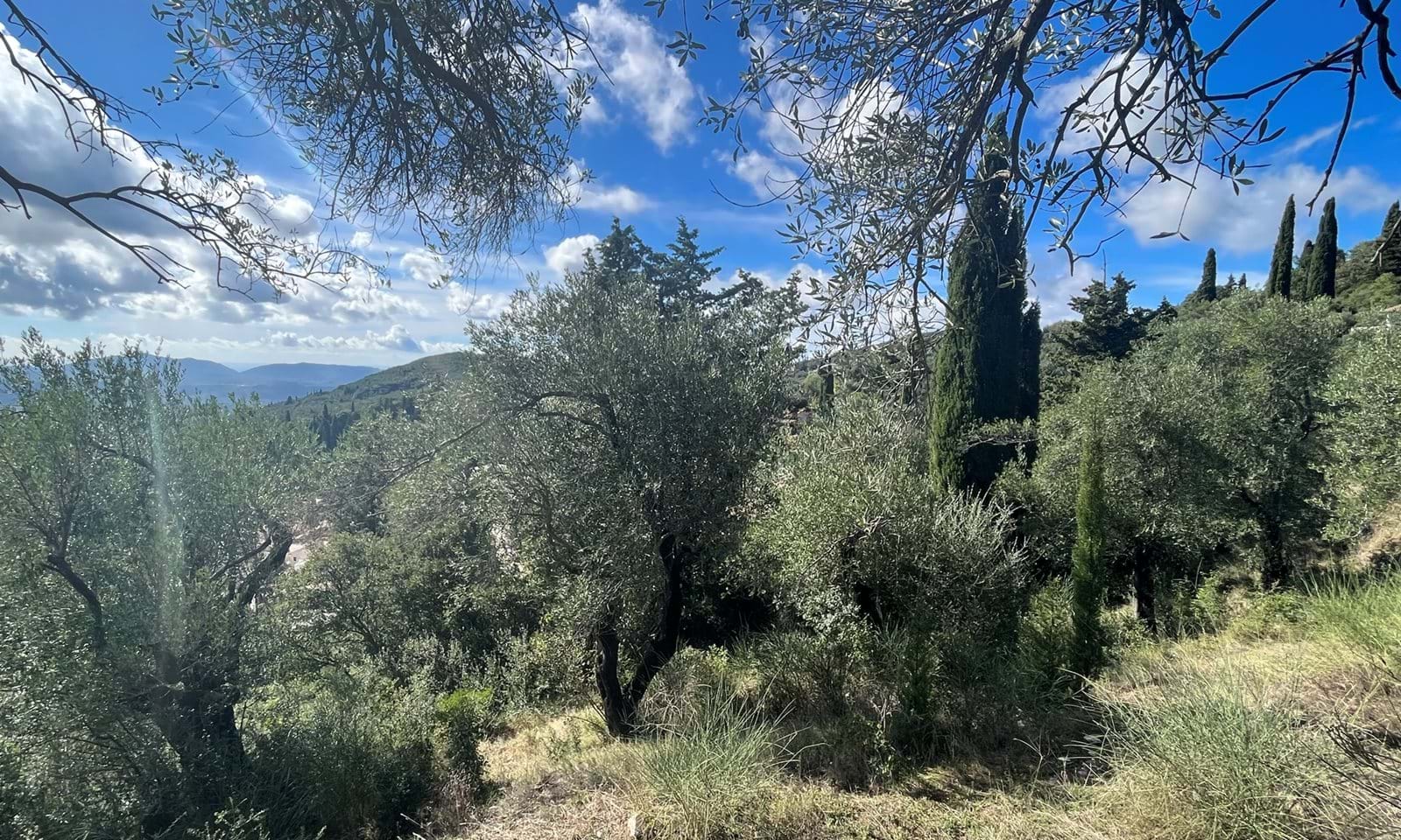 Listing photograph 5 of 8 of the land in Spartilas, published by Corfu Home Finders.