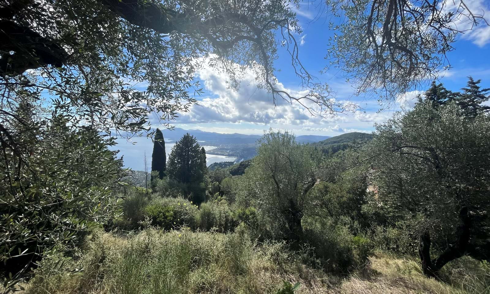 Listing photograph 2 of 8 of the land in Spartilas, published by Corfu Home Finders.